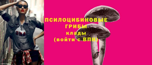 spice Абаза
